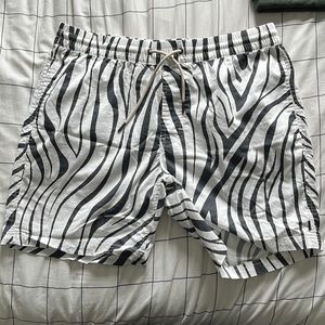 Zebra Print Shorts